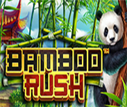 Bamboo Rush